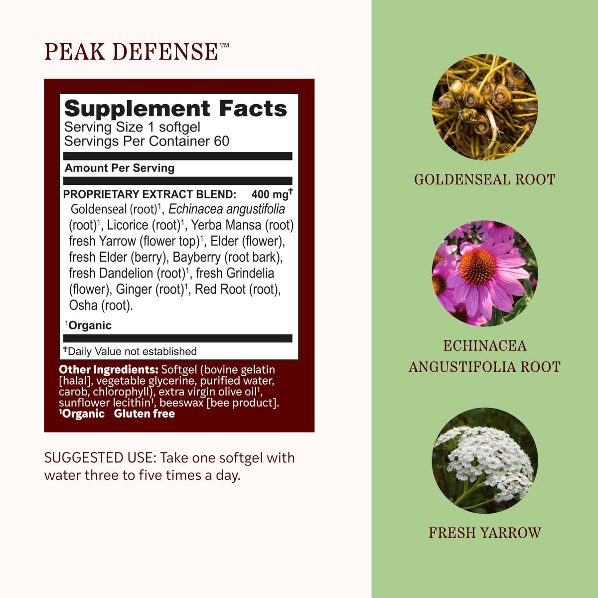 Herbs Etc. Peak Defense Softgels Immune Response - 60 Softgels - image 4