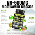 WELBUDA 5in1+ Nicotinamide Riboside Supplement - 90 Capsules - image 5