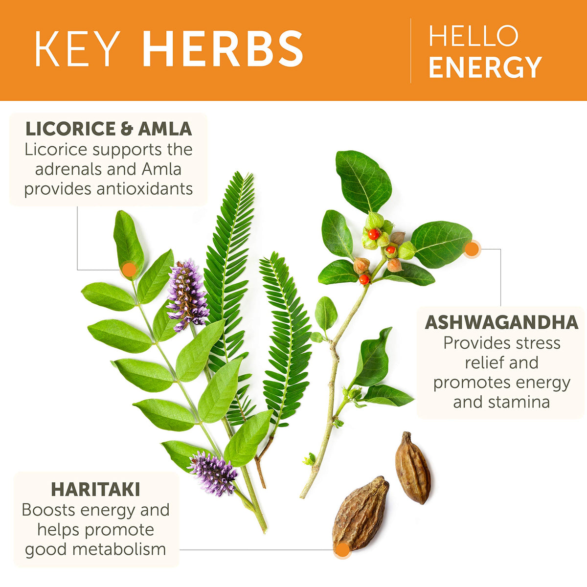 Himalaya Hello Energy Herbal Supplement with Ashwagandha - 60 Capsules - image 4