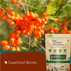 Namo Organics Sea Buckthorn Berry Powder - 200 g - image 6