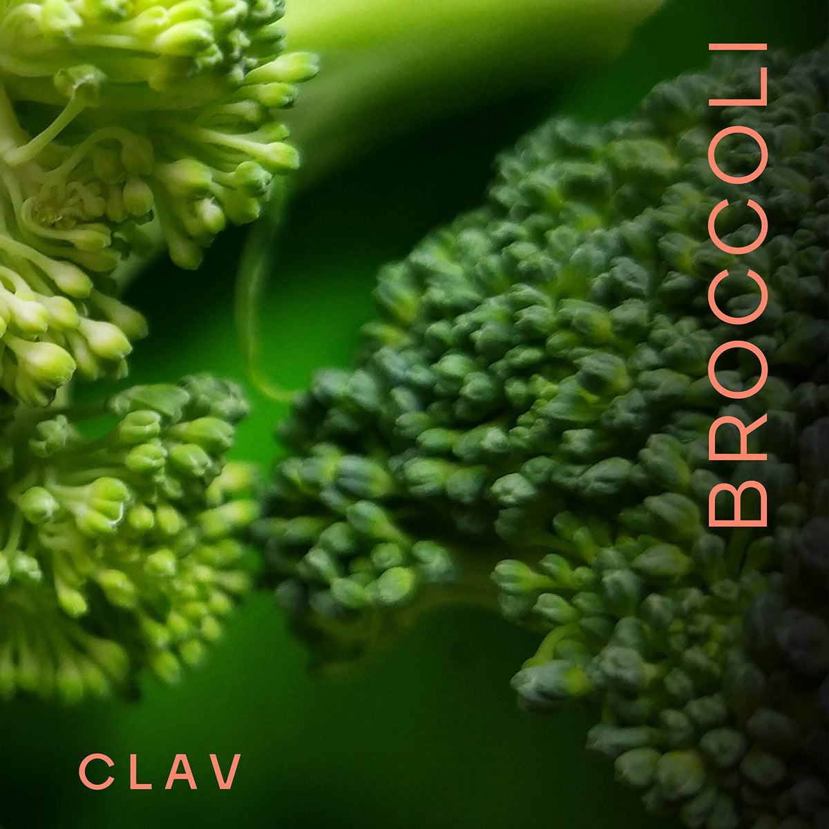 CLAV Broccoli Sprout Extract 100mg Sulforaphane - 60 Capsules - image 2