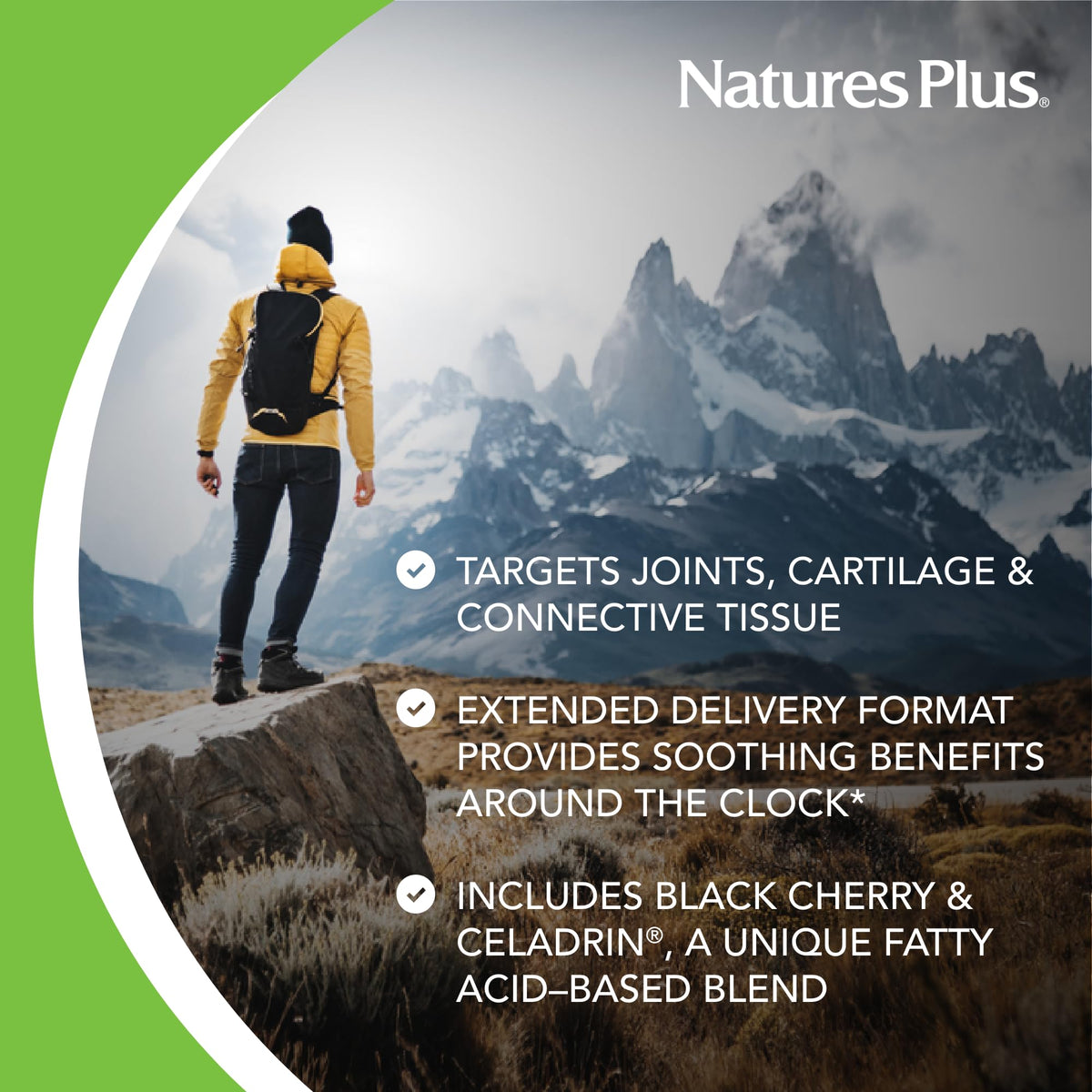 NaturesPlus Ultra Rx-Joint Triple Strength - 120 Tablets - image 3