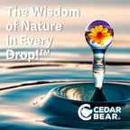 Cedar Bear Naturales Lymphatic Cleanse Adult Liquid Herbal Supplement - 1 Fl Oz - image 4