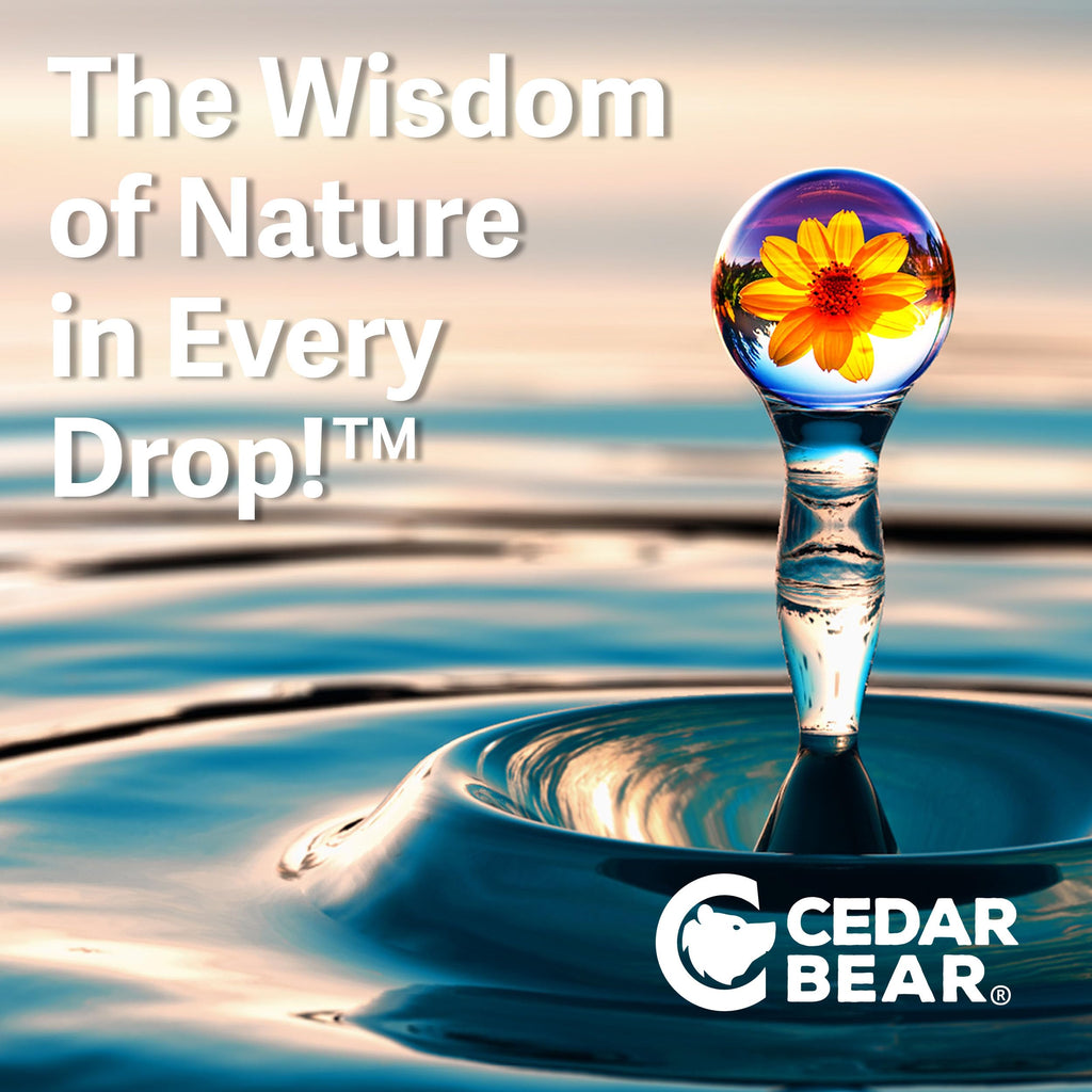 Cedar Bear Naturales Adrenal Balance Liquid Herbal Supplement - 2 Fl Oz - image 4