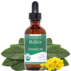 Herb Lore Organic Mullein Tincture - Mullein Drops for Lungs - Liquid