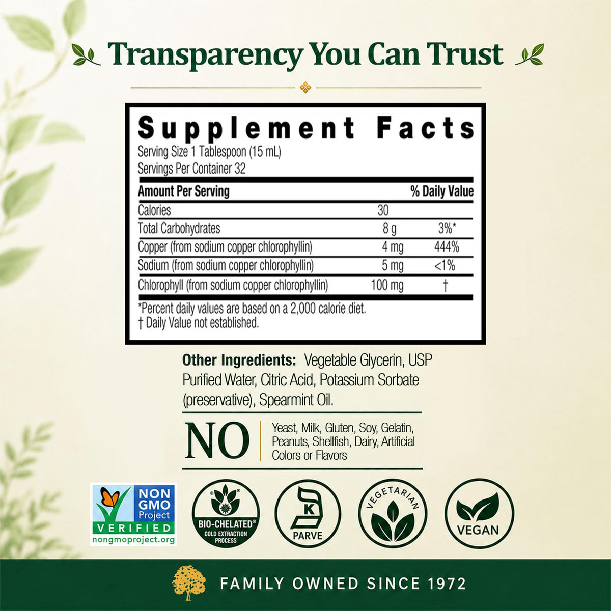 Nature's Answer Liquid Chlorophyll 100 mg - 16 fl oz - image 4