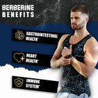 BMVINVOL 5-in-1 Berberine Supplement with Ceylon Cinnamon - 120 Capsules - image 5