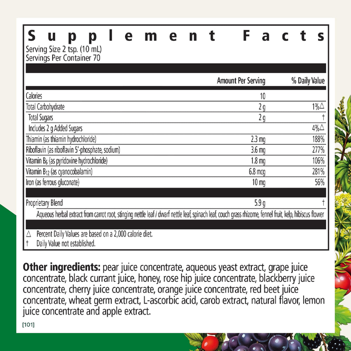 Floradix Iron & Herbs Liquid Iron Supplement - 23.7 fl oz - image 2