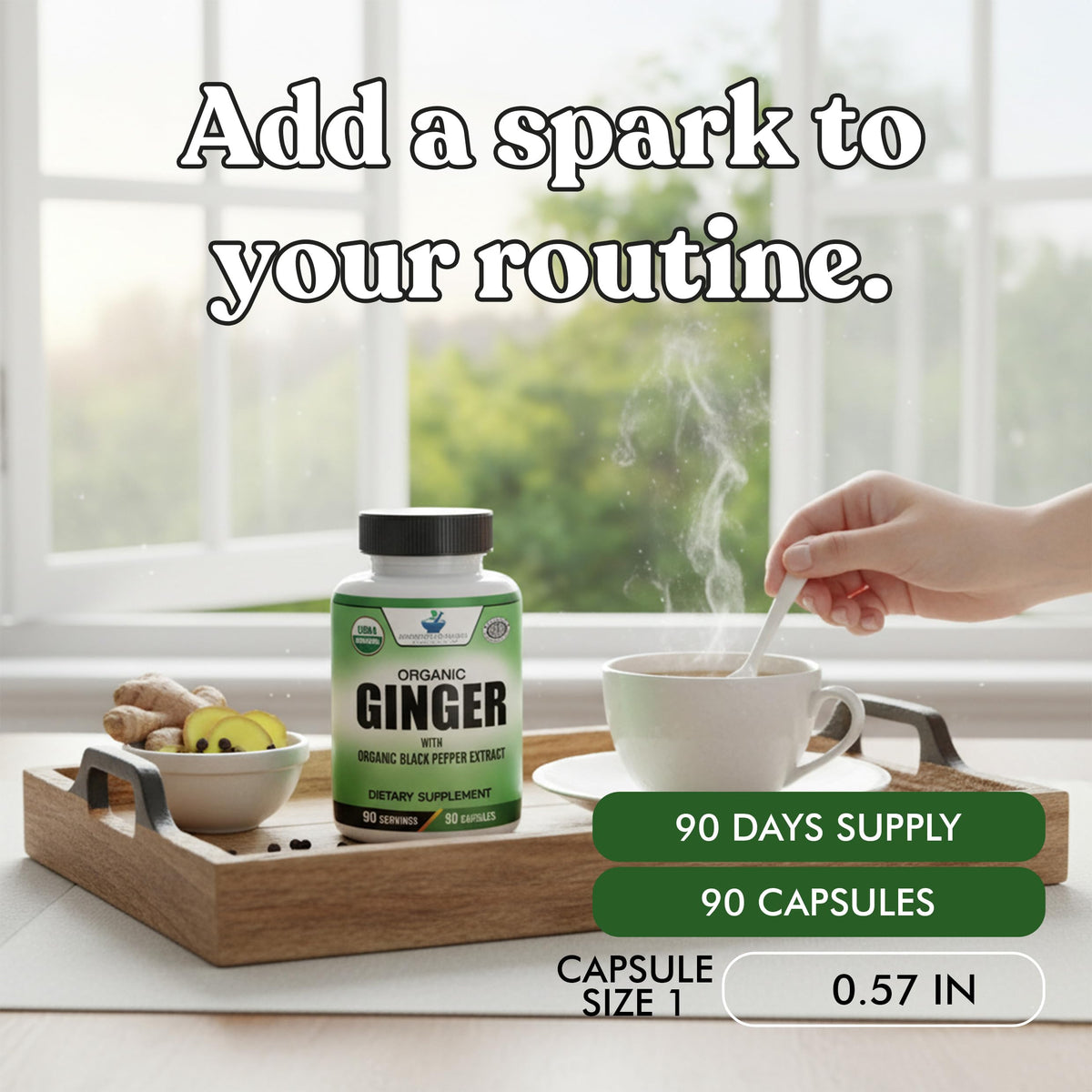 American Standard Supplements Organic Ginger Extract - 90 Capsules - image 4