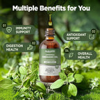 HOLLEGEND Liposomal Oregano Oil Liquid Drops Immune Support - 60ML - image 3