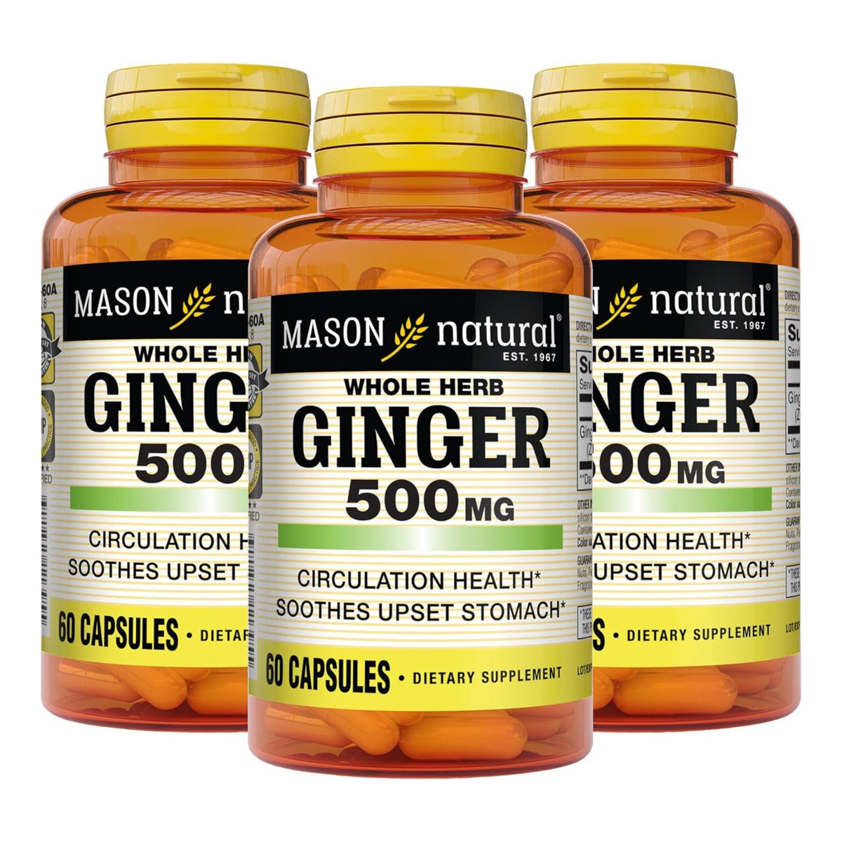 MASON NATURAL Whole Herb Ginger 500 mg - 180 Capsules