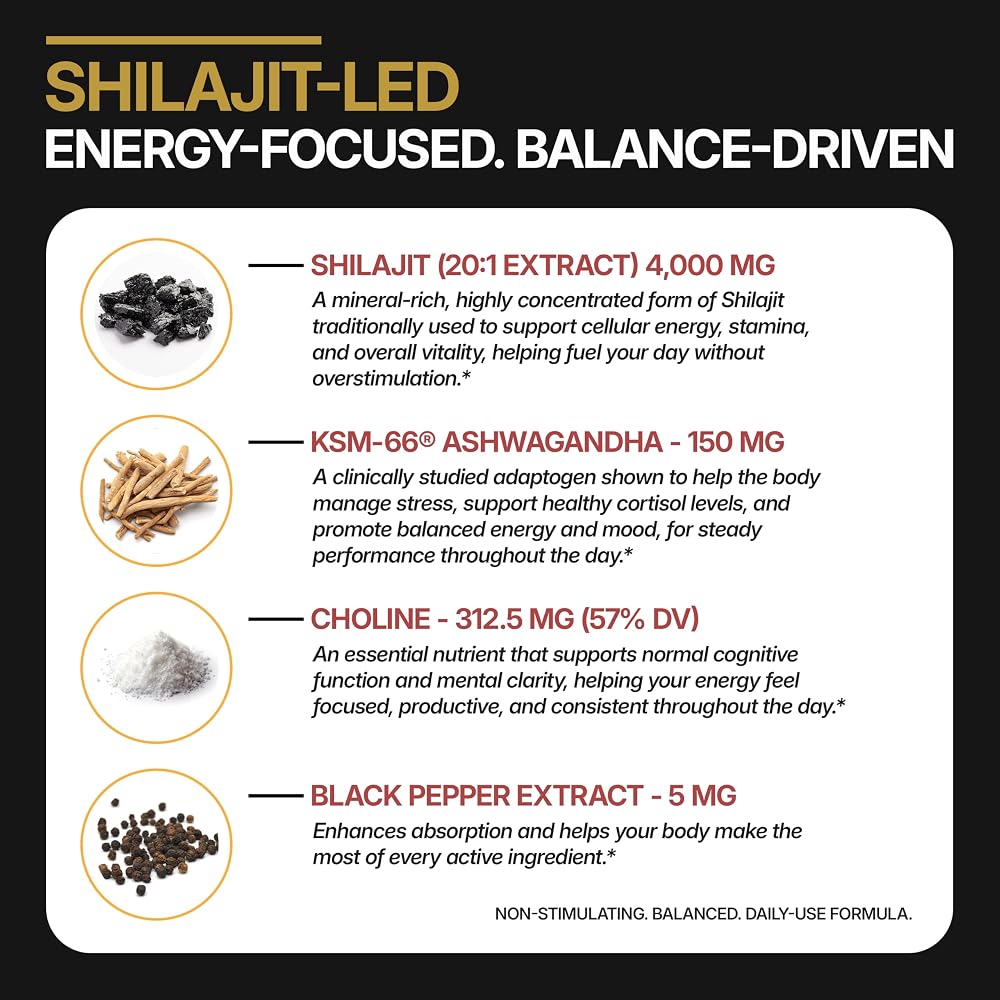 DLNIA KSM-66 Ashwagandha & Himalayan Shilajit Gummies - 90 Count - image 5