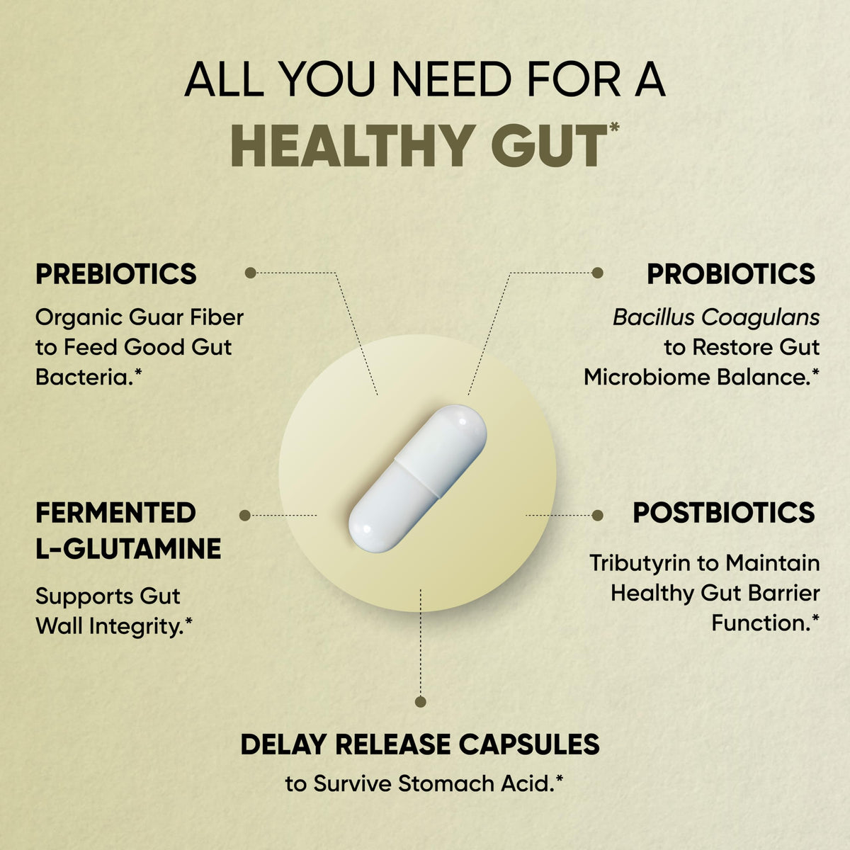 Sandhu's Gut Health Prebiotic Probiotic Postbiotic - 120 Capsules - image 4