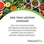 NaturesPlus Egg Yolk Lecithin 600 mg - 180 Capsules - image 3
