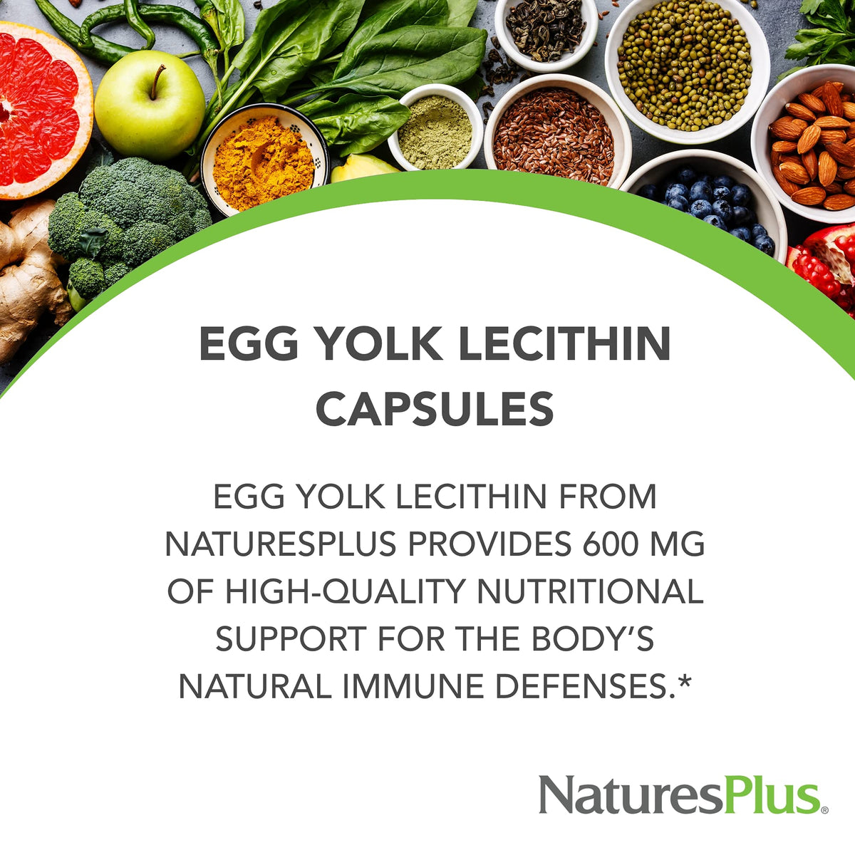 NaturesPlus Egg Yolk Lecithin 600 mg - 180 Capsules - image 3