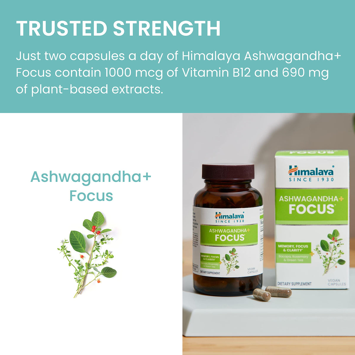 Himalaya Ashwagandha