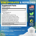 Dr. Berg's Electrolytes Powder Packets & Sports Hydration Electrolyte