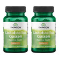 Swanson Lactobacillus Gasseri Probiotic for Adults - 120 Capsules