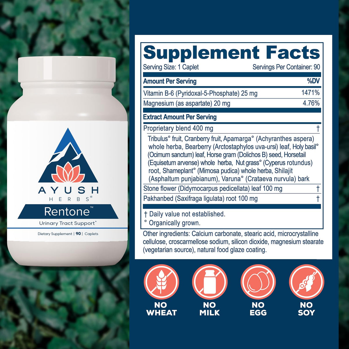 Ayush Herbs Rentone Kidney Support Supplement - 90 Caplets - image 3