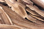 TPL Organic Dried Reishi Mushroom Slices - 6 oz - image 3