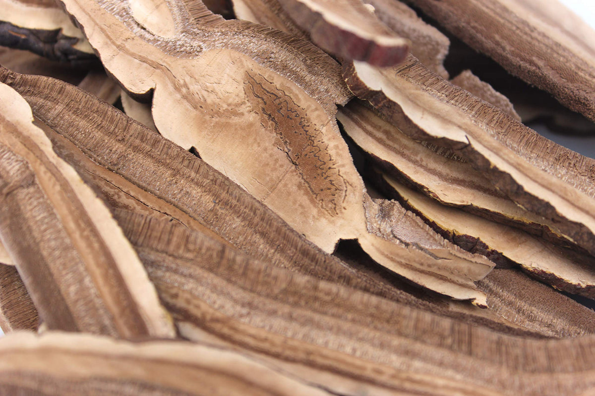 TPL Organic Dried Reishi Mushroom Slices - 6 oz - image 3