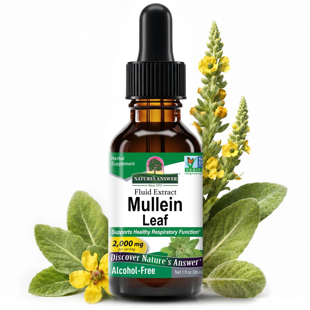 Nature's Answer Mullein Leaf Herbal Supplement - 1 Fl Oz
