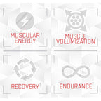 Purus Labs Foundation Series Citrulline Malate Powder - 100 Servings - image 3