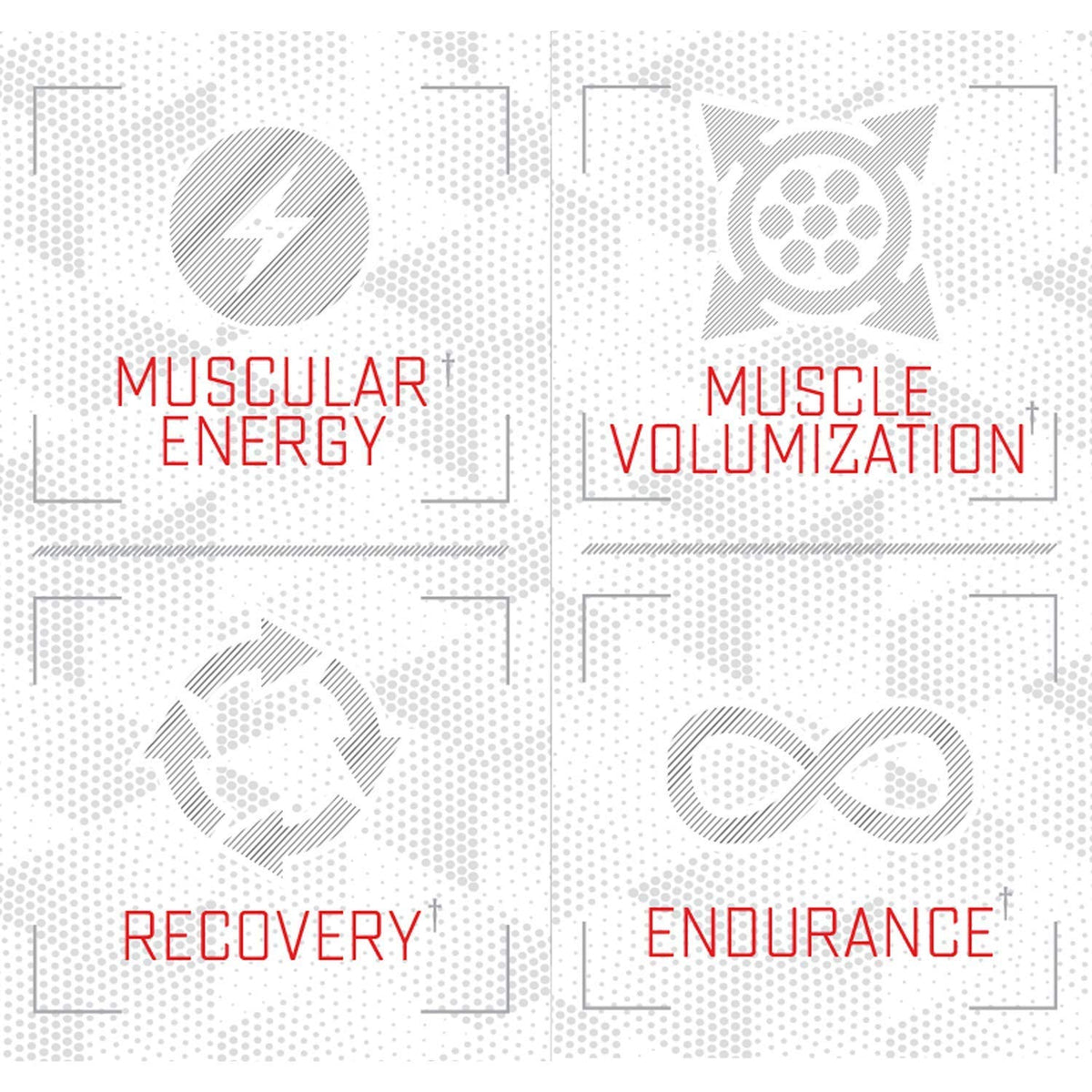 Purus Labs Foundation Series Citrulline Malate Powder - 100 Servings - image 3