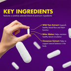 NutraRize GlycoBoost Blood Support Formula - 300 Capsules - image 6