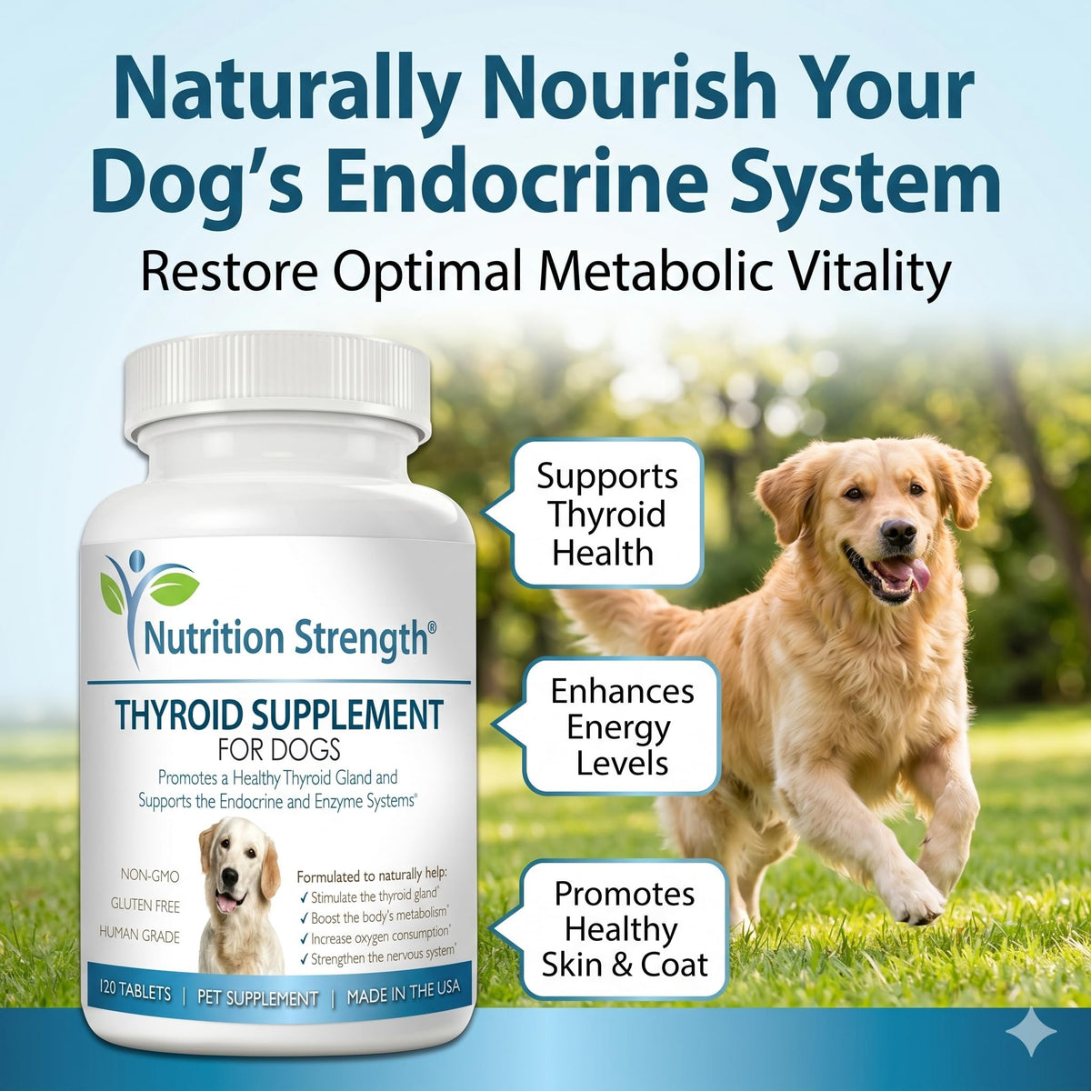 Nutrition Strength Thyroid Supplement for Dogs with Bladderwrack - 120 Tablets - image 2