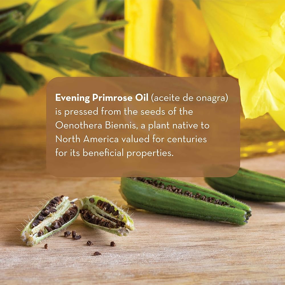 Pure Body Naturals Evening Primrose Oil for Skin & Hair - 4 fl oz - image 2