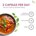 Ved Digestive Enzymes Complex - 90 Vegan Capsules - image 4