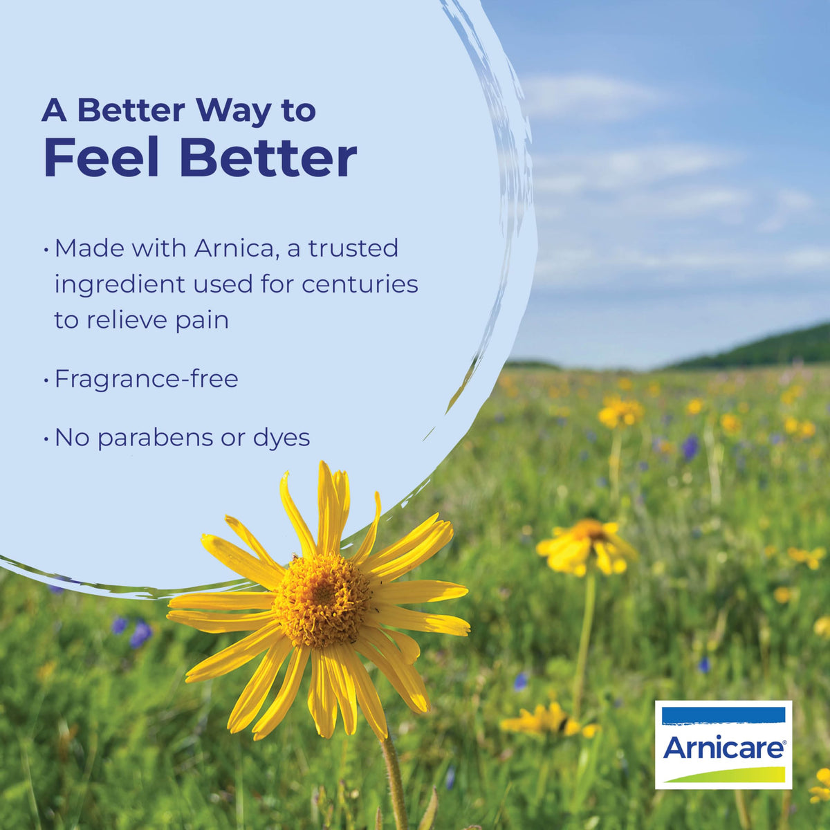 Boiron Arnicare Cream for Joint Pain - image 2