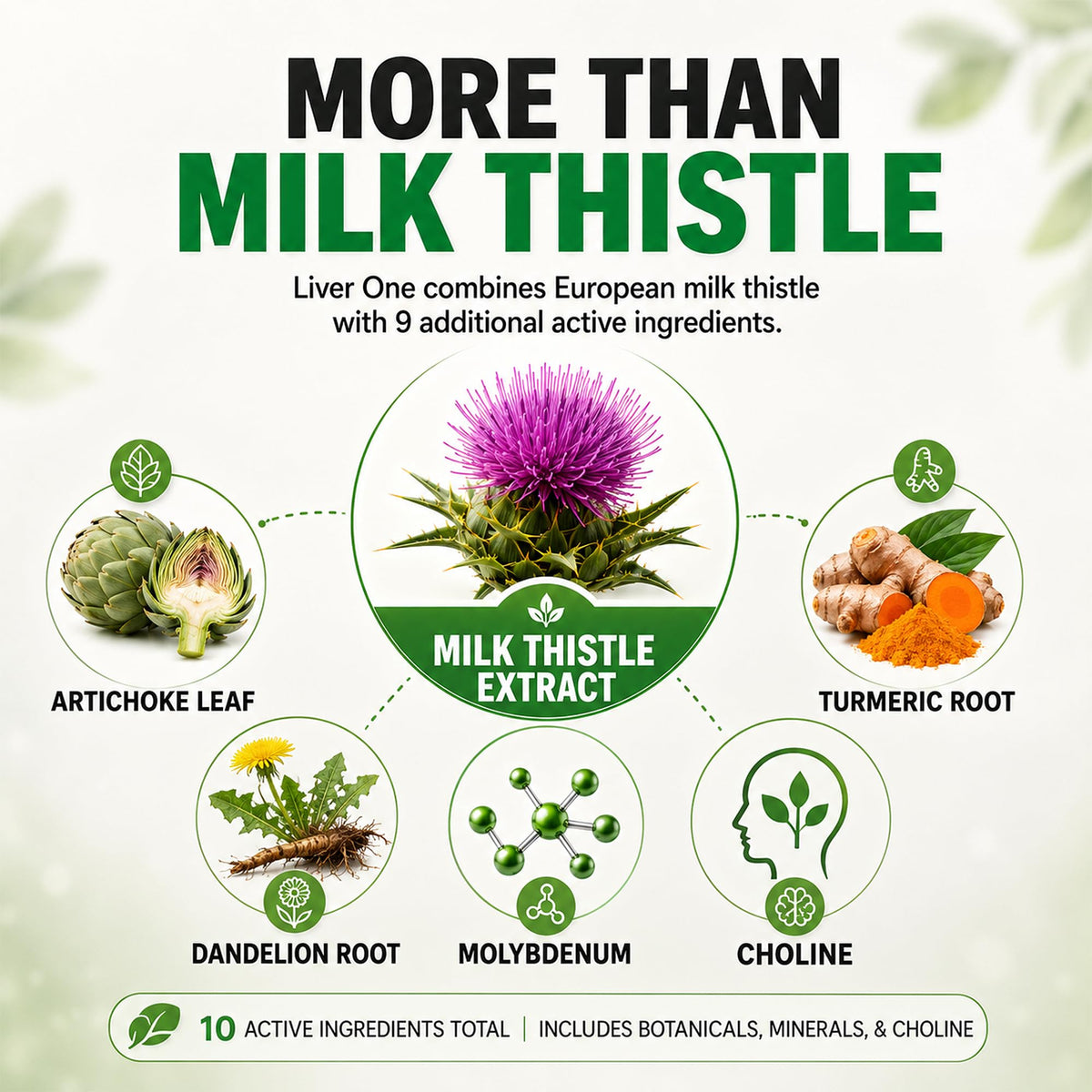 Balance ONE Liver Support Supplement with Milk Thistle - 60 Capsules - image 5