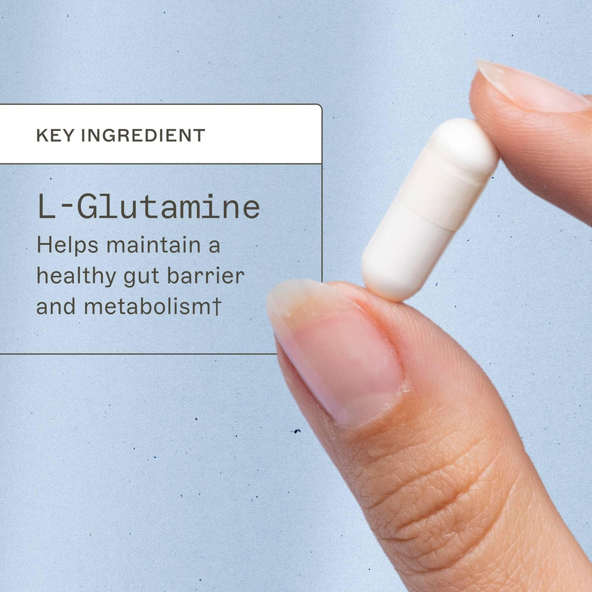Amy Myers MD L-Glutamine Capsules for Gut Health - 120 Capsules - image 3