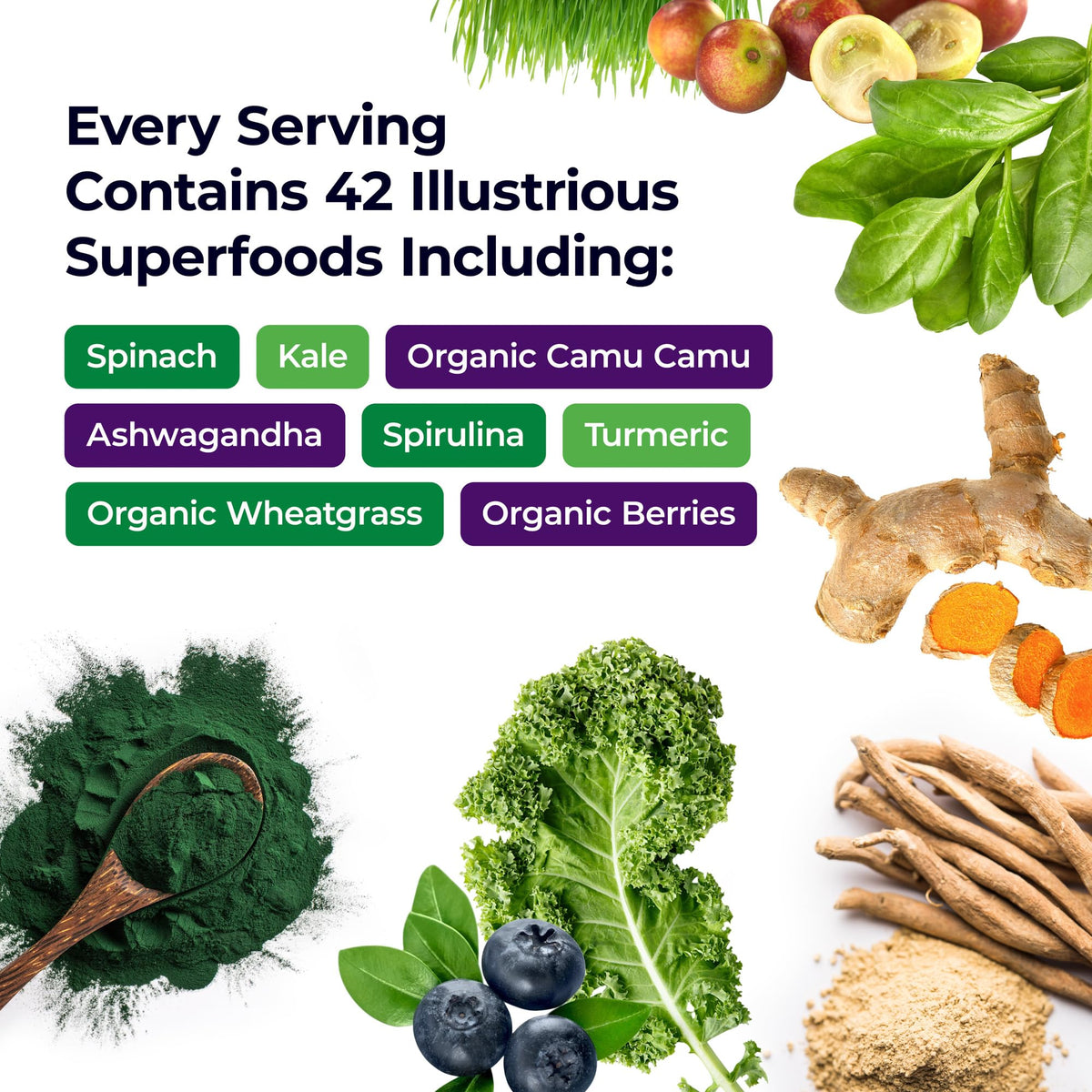 Paradise Herbs & Essentials ORAC Greens Powder Extract, Berry Blend