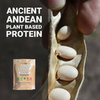BioMiracle Hydrolyzed Pure Chocho All Plant Protein - 15 Servings - image 3
