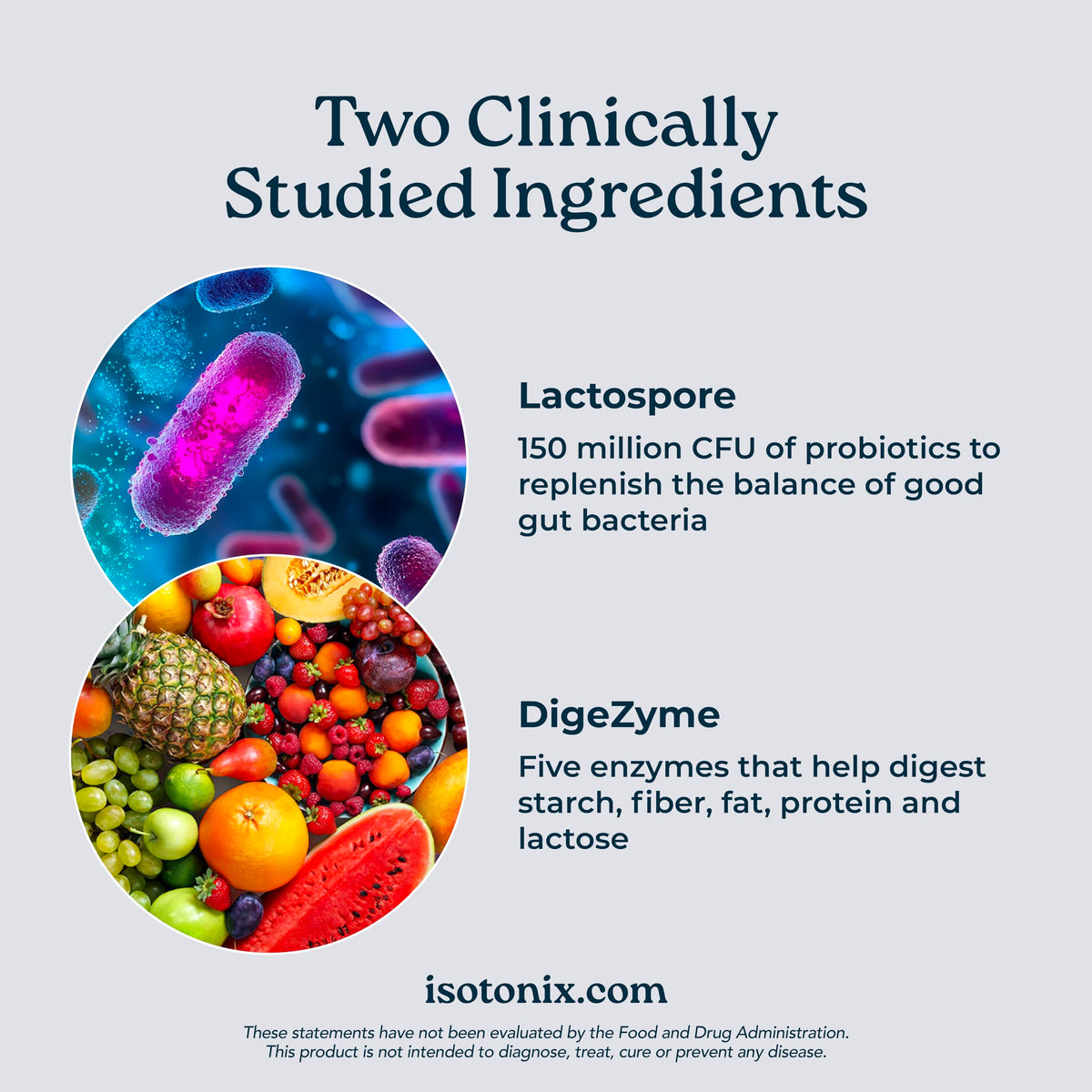Isotonix Digestive Enzymes with Probiotics Powder - 90 Servings - image 2