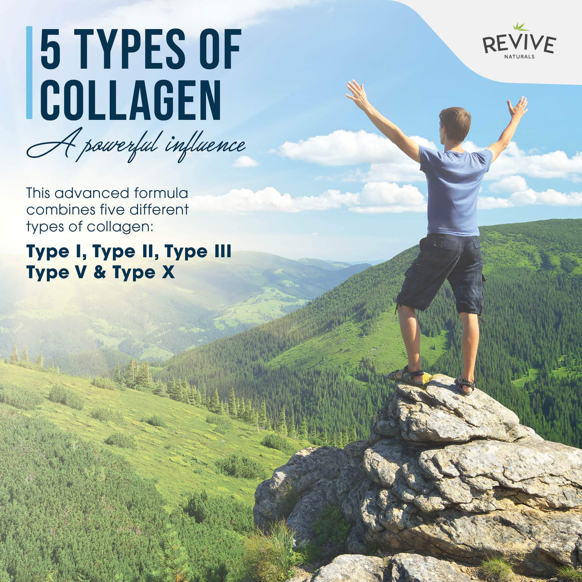 Revive Naturals Multi Collagen Hydrolyzed Protein Powder (16oz)