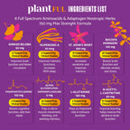 PLANTFUL RESEARCH Nootropic Brain Supplement for Memory and Focus - 30 Capsules - image 3