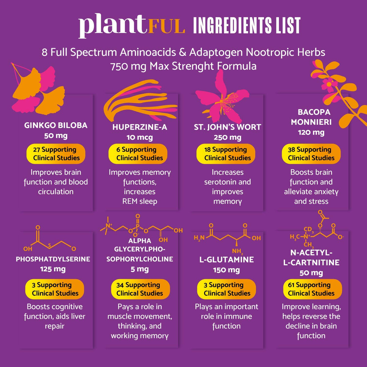 PLANTFUL RESEARCH Nootropic Brain Supplement for Memory and Focus - 30 Capsules - image 3