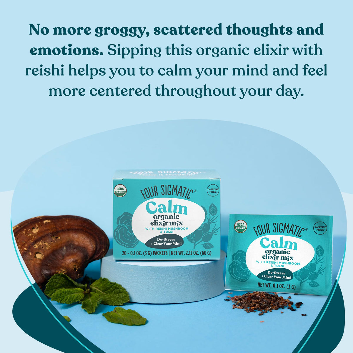 Four Sigma Foods Reishi Mushroom Elixir for Sleep - 20 Packets - image 3
