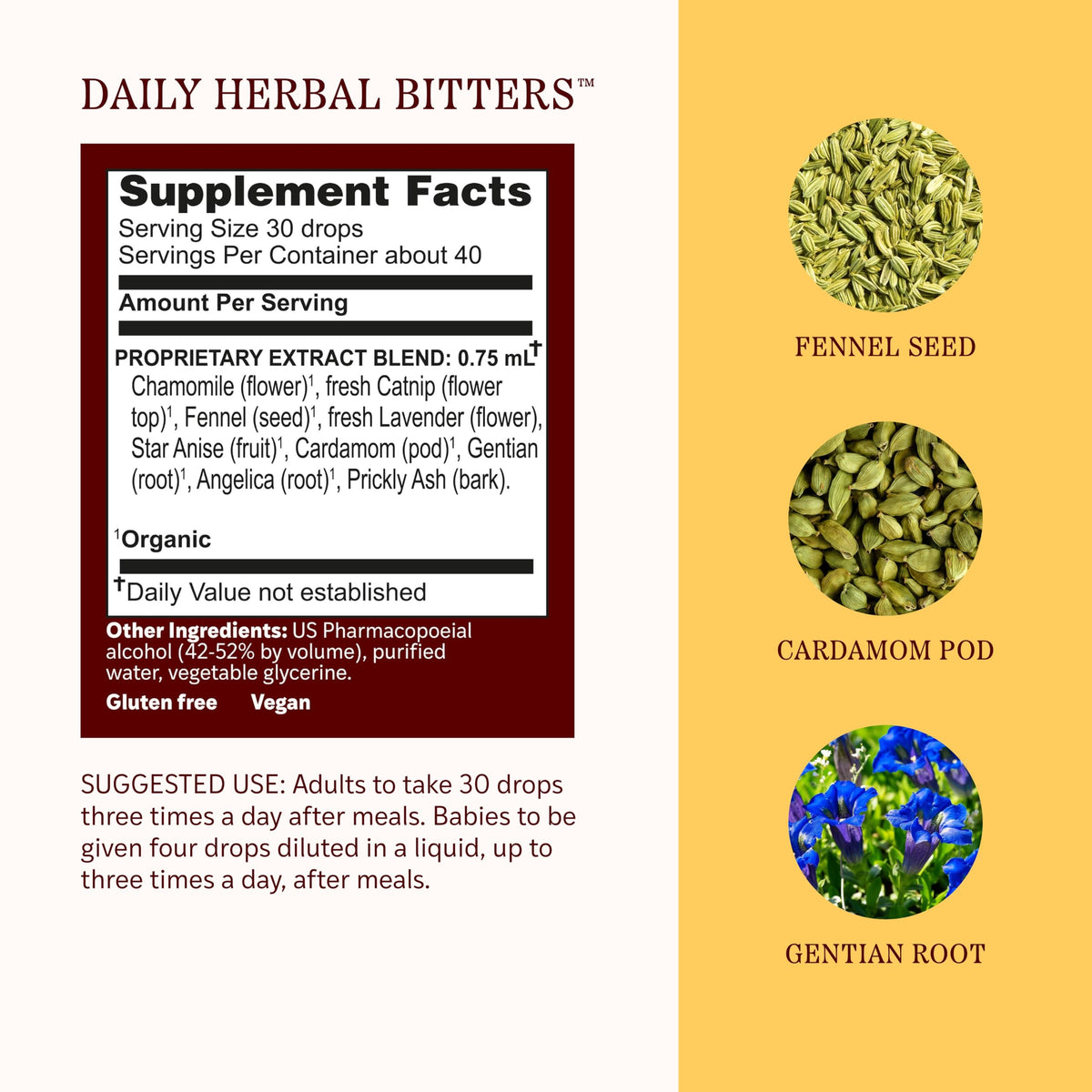 Herbs Etc. Daily Herbal Bitters Classic Liquid Extract - 1 fl oz - image 4