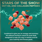WILD FUEL MCT Oil Keto Gummies with Collagen - 60 Gummies - image 8