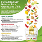 Granite Supplements Vital Shield - (30 Servings) Greens Superfood