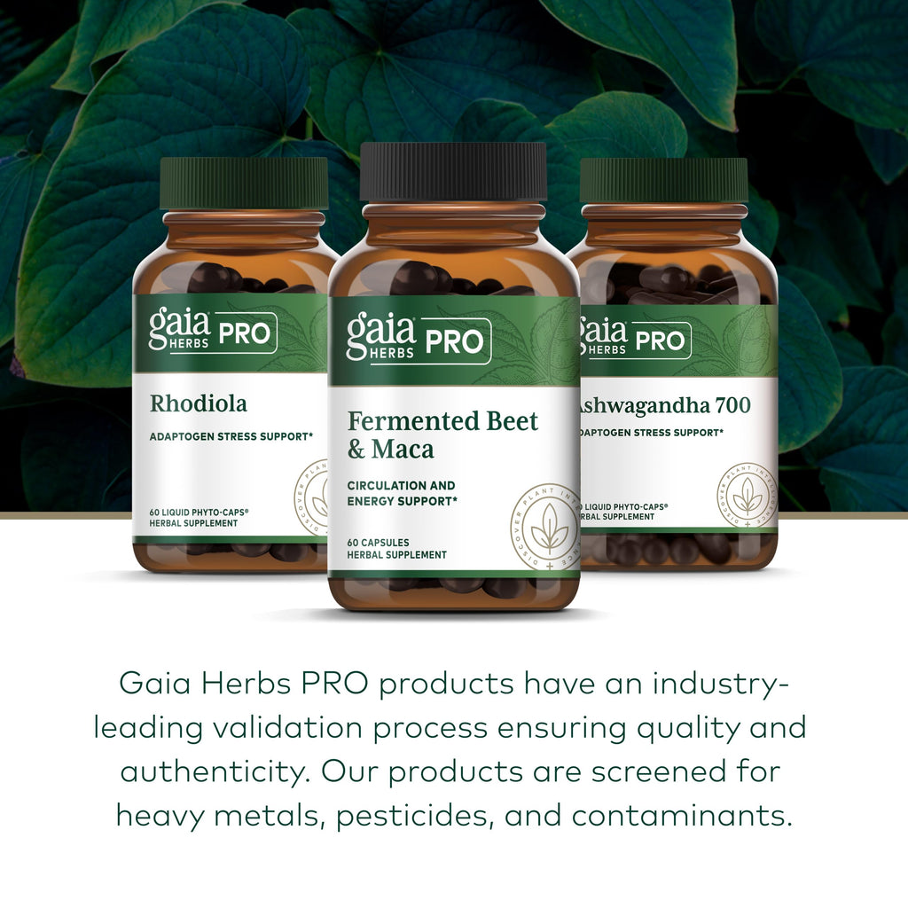 Gaia Herbs PRO Fermented Beet & Maca Energy - 60 Capsules - image 6