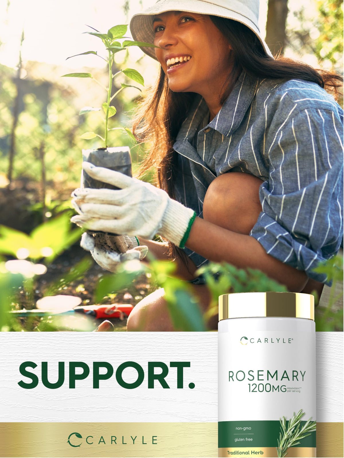 Carlyle Rosemary Extract - 200 Capsules - image 6