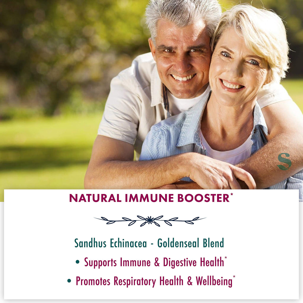 Sandhu's Echinacea Goldenseal Immune Booster - 90 Vegetarian Capsules - image 3