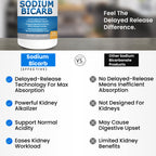 Kidney Restore Sodium Bicarbonate 650mg Delayed Release - 120 Capsules - image 4