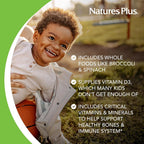 NaturesPlus Animal Parade Multivitamin Children's Gummies - 90 Count - image 4
